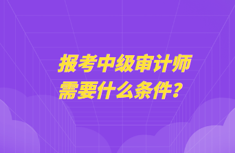 報(bào)考中級審計(jì)師需要什么條件？