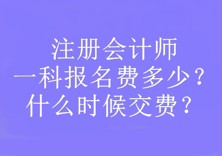 注冊(cè)會(huì)計(jì)師一科報(bào)名費(fèi)多少？什么時(shí)候交費(fèi)？