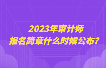 2023年審計師報名簡章什么時候公布？