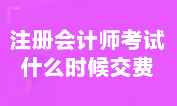 現(xiàn)在可以交注冊(cè)會(huì)計(jì)師報(bào)名費(fèi)嗎？