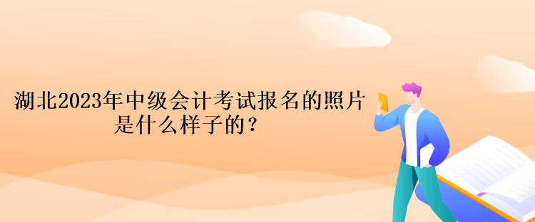 湖北2023年中級會計考試報名的照片是什么樣子的？