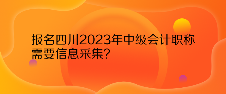 報(bào)名四川2023年中級(jí)會(huì)計(jì)職稱需要信息采集？