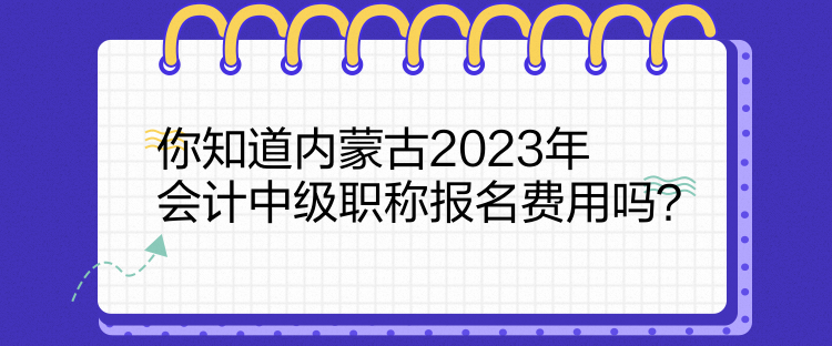 你知道內蒙古2023年會計中級職稱報名費用嗎？