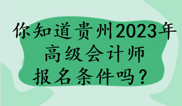 你知道貴州2023年高級(jí)會(huì)計(jì)師報(bào)名條件嗎？