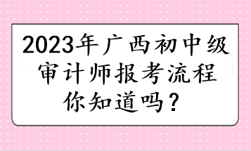 2023年廣西初中級(jí)審計(jì)師報(bào)考流程你知道嗎？