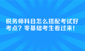 稅務(wù)師科目怎么搭配考試好考點(diǎn)？零基礎(chǔ)考生看過來！