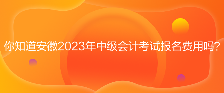 你知道安徽2023年中級會計考試報名費用嗎？