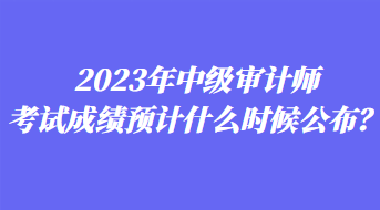 2023年中級審計師考試成績預(yù)計什么時候公布？