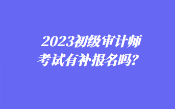 2023年初級審計(jì)師考試有補(bǔ)報(bào)名嗎？