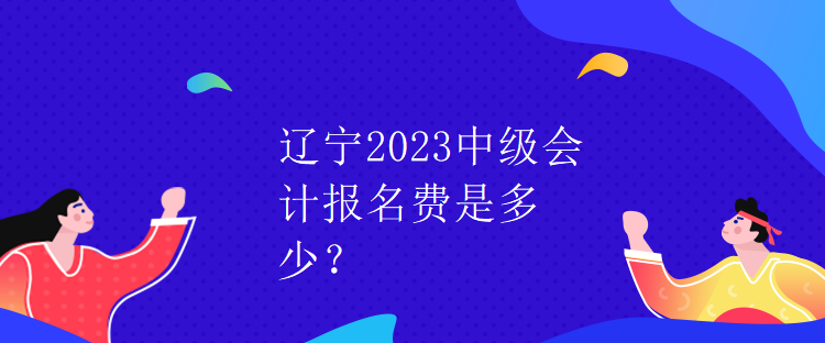 遼寧2023中級(jí)會(huì)計(jì)報(bào)名費(fèi)是多少？