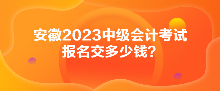 安徽2023中級(jí)會(huì)計(jì)考試報(bào)名交多少錢？