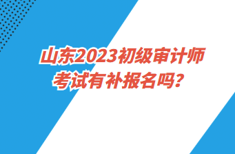 山東2023初級審計師考試有補報名嗎？