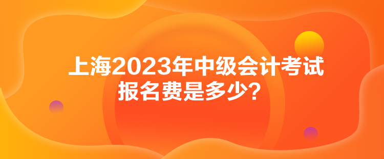 上海2023年中級(jí)會(huì)計(jì)考試報(bào)名費(fèi)是多少？