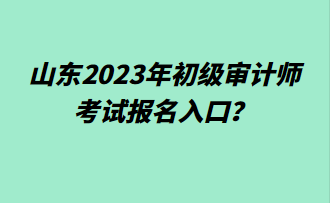 山東2023年初級審計師考試報名入口？