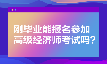 剛畢業(yè)能報(bào)名參加高級(jí)經(jīng)濟(jì)師考試嗎？