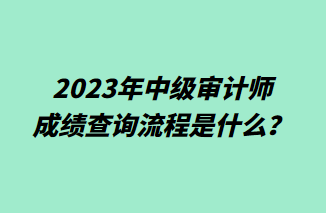 2023年中級(jí)審計(jì)師成績(jī)查詢流程是什么？