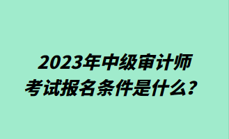 2023年中級(jí)審計(jì)師考試報(bào)名條件是什么？