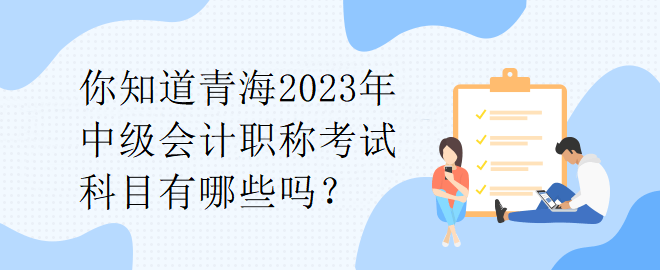 你知道青海2023年中級(jí)會(huì)計(jì)職稱考試科目有哪些嗎？