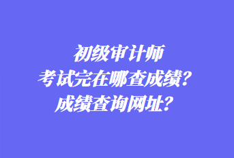 初級(jí)審計(jì)師考試完在哪查成績(jī)？成績(jī)查詢(xún)網(wǎng)址？