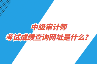 中級(jí)審計(jì)師考試成績(jī)查詢(xún)網(wǎng)址是什么？