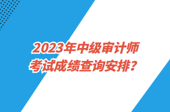 2023年中級審計師考試成績查詢安排？