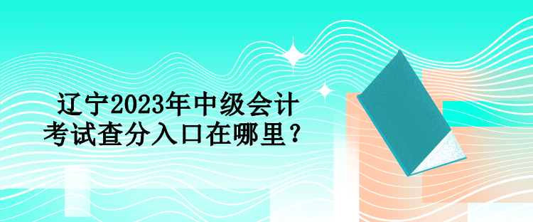 遼寧2023年中級(jí)會(huì)計(jì)考試查分入口在哪里？