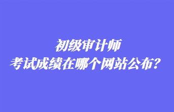 初級審計師考試成績在哪個網(wǎng)站公布？