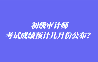 初級(jí)審計(jì)師考試成績預(yù)計(jì)幾月份公布？