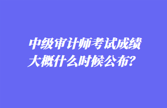 中級審計師考試成績大概什么時候公布？