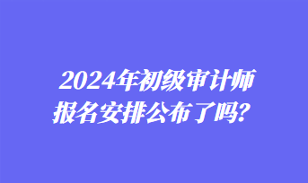 2024年初級審計師報名安排公布了嗎？