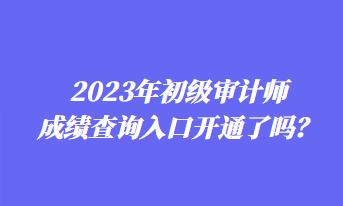 2023年初級(jí)審計(jì)師成績(jī)查詢?nèi)肟陂_通了嗎？