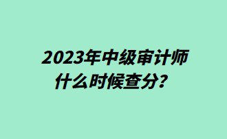 2023年中級審計師什么時候查分？