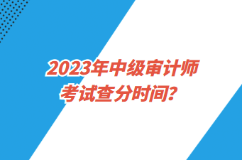 2023年中級審計師考試查分時間？