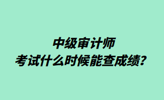 中級審計師考試什么時候能查成績？