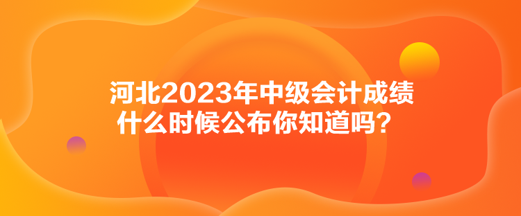 河北2023年中級會計成績什么時候公布你知道嗎？