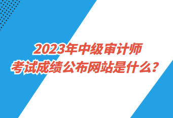 2023年中級(jí)審計(jì)師考試成績(jī)公布網(wǎng)站是什么？