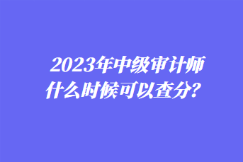 2023年中級審計師什么時候可以查分？