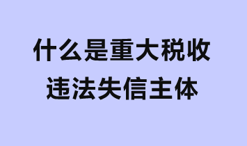 什么是重大稅收違法失信主體？