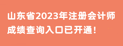 山東省2023年注冊會計師成績查詢?nèi)肟谝验_通！馬上查分>>