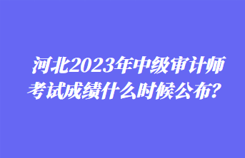 河北2023年中級審計師考試成績什么時候公布？