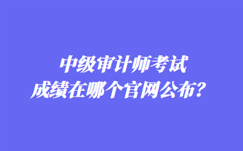 中級審計師考試成績在哪個官網公布？