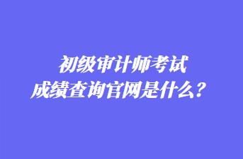 初級審計師考試成績查詢官網(wǎng)是什么？