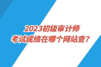 2023初級(jí)審計(jì)師考試成績(jī)?cè)谀膫€(gè)網(wǎng)站查？