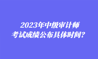 2023年中級(jí)審計(jì)師考試成績(jī)公布具體時(shí)間？