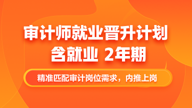 審計師就業(yè)晉升計劃