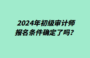 2024年初級審計師報名條件確定了嗎？