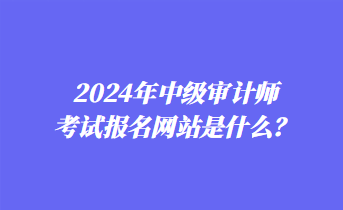 2024年中級(jí)審計(jì)師考試報(bào)名網(wǎng)站是什么？