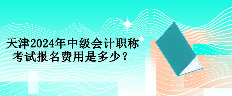 天津2024年中級(jí)會(huì)計(jì)職稱(chēng)考試報(bào)名費(fèi)用是多少？