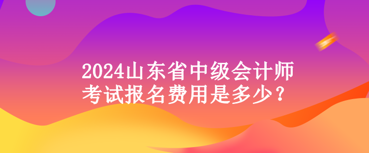 2024山東省中級(jí)會(huì)計(jì)師考試報(bào)名費(fèi)用是多少？