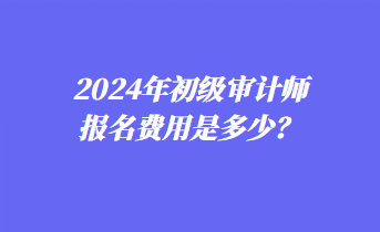 2024年初級審計師報名費用是多少？